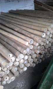 ไม้ไผ่ธรรมชาติเสาค้ำสำหรับปลูกเพื่อการเกษตร - Product Image 4