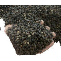Meilleur Prix Premium Poivre Noir FAQ CLEAN/ASTA Du Vietnam Réputation Fabricant Exportateur Mme Sophie (+ 84) 969 732 947
