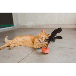 ขนนกส้มสำหรับใช้กับนก - Product Image 3