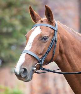 Chasseur Cavesson bride cheval mors en cuir conception personnalisée prix bon marché vente en gros cheval mors en cuir bride - Product Image 4
