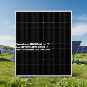 แผงโซลาร์เซลล์ Topsky Energy 600W แบบสองหน้า N-Type HJT พร้อมกระจกโมโนคริสตัลไลน์ด้านหน้า - Product Image 3