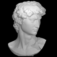 Buste de David Michel-Ange |   Sculpture Renaissance 3D |   Michel-Ange |   Décoration d'intérieur moderne et exposition d'art en plein air | H_Q PLA