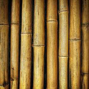 Postes de Bambú Estructurales para Arquitectura, Tamaño Personalizado, Tratados, Antimoho, Secados al Horno, de Fábrica - Product Image 5