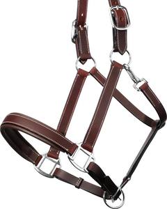 Direct de l'usine Licou rembourré fantaisie-Quincaillerie en nickel laiton licou de cheval réglable fabriqué en Inde avec 100% cuir véritable - Product Image 5