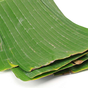 Hojas de Plátano de Grado Alimenticio para Cocinar y Catering - Product Image 5
