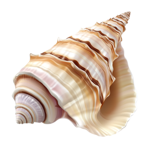 Vente en gros de coquillages naturels polis bio (nacre) de forme naturelle, bruts, pour la décoration de mariage et de la maison, fournitures artisanales - Product Image 1