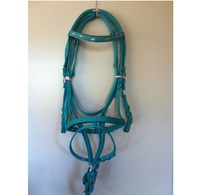 Bride de cheval en nylon de haute qualité avec rênes assorties, boucles en acier inoxydable, œillets en acier inoxydable et ruban pour cheval sur tous les côtés