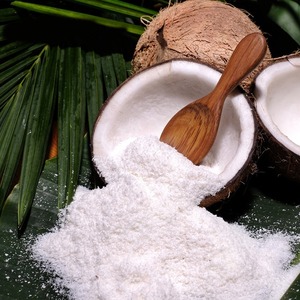 Coco desecado de grado fino de excelente calidad para exportación al por mayor, polvo de coco seco con alto contenido de grasa - Product Image 6