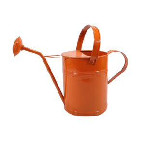 Arrosoir en métal fait à la main forme personnalisée concepteur arrosoir gris enduit de poudre conception en relief vente en gros de canne à eau en métal - Product Image 2