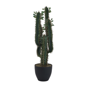 EUROPALMS Cactus Mexicano de 75 cm con Hojas, Plantas y Follaje Artificiales - Product Image 2