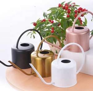 Regadera de Metal con Boquilla Larga para Plantas de Interior y Exterior, Vertido Preciso, Duradera, Resistente al Óxido, Herramienta de Jardín para el Hogar, Uso Diario, Cuidado Plus - Product Image 6