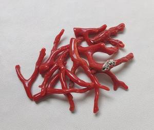 Palo de coral rojo italiano natural genuino, palo pulido de coral rojo italiano natural 100%. Palo de Coral Brillante Pulido, Palo de Coral - Product Image 6