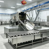 Équipement d'abattage de porcs clé en main automatique, machines d'abattoir porcin HACCP, ligne de boucherie de porcs, coût de l'usine de transformation de la viande