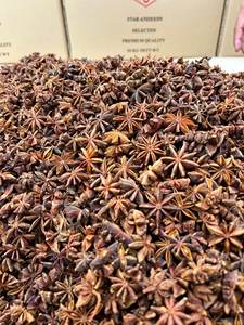 Anis étoilé d'automne d'Agrikim Vietnam entièrement certifié de haute qualité, épices et herbes au meilleur prix avec échantillon gratuit - Product Image 4