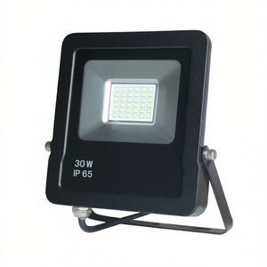 Proyector LED para Exteriores Gorilla de 30W, Foco de Luz - Product Image 2