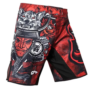 Pantalones Cortos de Lucha MMA, Pantalones Cortos de Boxeo, Diseño Personalizado, Sin Marca, Fabricados por HULK Enterprises - Product Image 3
