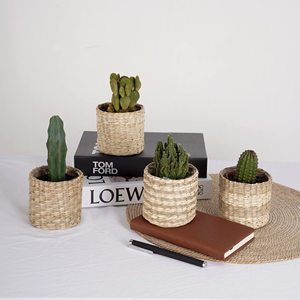 Petit porte-plante coloré bleu jaune vert pot cache-pot pour cactus plantes succulentes - Product Image 2