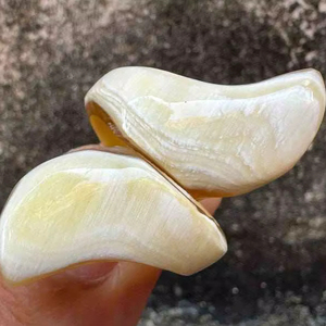 Bague en corne de buffle polie, bijoux pour fête, mariage, anniversaire, vente chaude, couleur corne naturelle - Product Image 1