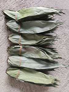 HOJAS DE BAMBÚ SECAS NATURALES VIETNAM CALIDAD EXPORTADA HACIENDO DECORACIÓN DE ROLLO DE ENVOLTURA DE LOTO AZUL MS AMELIA + 84855014447 - Product Image 3