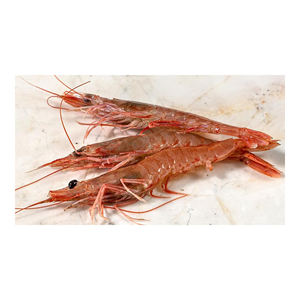 Camarones de río enteros a precio de descuento, todas las tallas disponibles para suministro a distribuidores. - Product Image 4