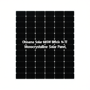 Panneau solaire monocristallin bifacial HJT de type N Ohisama Solar 665W - Product Image 2