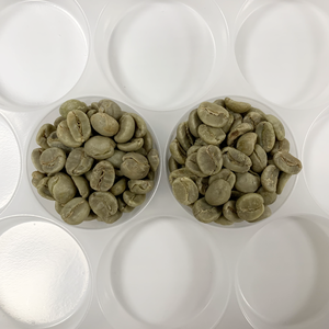 Grains de café Arabica du Vietnam, nouvelle récolte, qualité constante pour le broyage commercial, emballage pour la restauration - Product Image 5