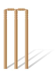 Top Quality Wholesale Light Weight <b>Plastic</b> <b>Cricket</b> Stumps <b>Set</b> for Seniors & Juniors - Product Image 3