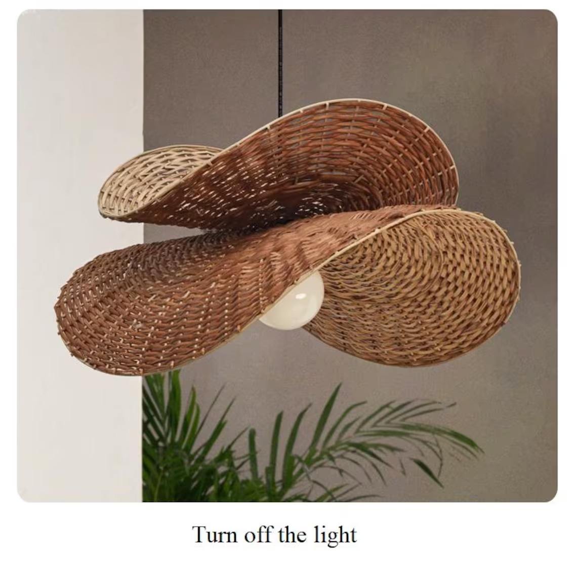 Natural-Pequeño: D50cm (19,7 pulgadas)