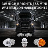 DOT Taux d'étanchéité IP67 Lampe de camion de haute qualité Lumière décorative LED haute luminosité Mini lumière pastèque