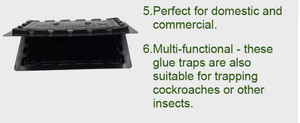 Trampas de <span class=keywords><strong>pegamento</strong></span> <span class=keywords><strong>para</strong></span> <span class=keywords><strong>ratas</strong></span> adhesivas <span class=keywords><strong>grandes</strong></span> <span class=keywords><strong>para</strong></span> interiores Trampas de <span class=keywords><strong>pegamento</strong></span> <span class=keywords><strong>para</strong></span> ratones no tóxicas Juego fácil Tablero de almohadilla adhesiva <span class=keywords><strong>para</strong></span> ratones - Product Image 6