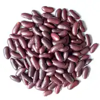 高品質の乾燥赤インゲン豆オーガニック