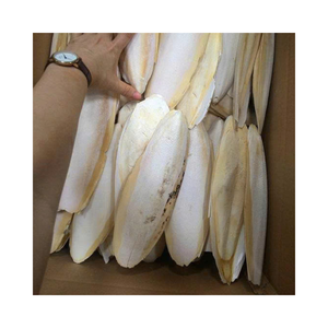 Os de seiche séchés Approvisionnement en gros Prix compétitif Exportation naturelle de calcium d'oiseau de compagnie Garantie de qualité en vrac - Product Image 5