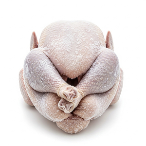 ไก่แช่แข็งทั้งตัวและชิ้นส่วนต่างๆ เช่น ขา ปีก จำหน่ายจำนวนมาก - Product Image 4