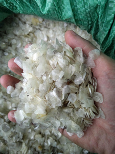 เกล็ดปลาแห้งวัตถุดิบจำนวนมากสำหรับผลิตภัณฑ์เพื่อสุขภาพและความงาม - Product Image 4