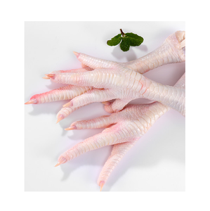 Pieds de poulet congelés de haute qualité, partie du corps, vitamines riches, emballage en vrac certifié halal pour distributeurs grossistes détaillants - Product Image 4