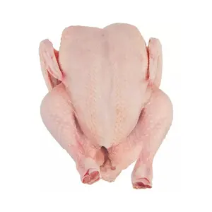 Bestseller Premium Halal gefrorenes ganzes Huhn, Hühnerfüße, Pfoten gefrorene Hühnerpfoten Huhn niedriger Preis