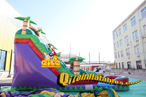 Sân sau ngoài trời thương mại trượt nước Inflatable hồ bơi chống cháy tobogganing sân chơi cho người lớn trẻ em - Product Image 6