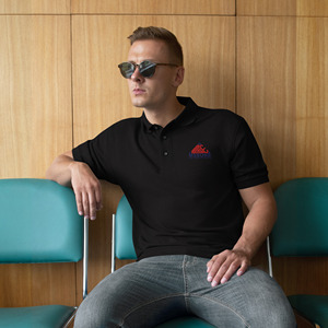 2025 polo unisexe personnalisé polo de golf en coton respirant vente en gros pour les acheteurs de marque privée d'entreprise de marques de mode - Product Image 2
