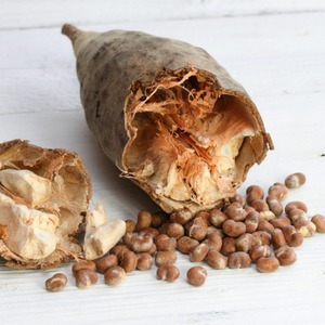 Fruta de Baobab de Alta Calidad, Superalimento Natural y Saludable para Bebidas, Suplementos, Procesamiento de Alimentos y Compradores Mayoristas Globales - Product Image 4