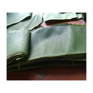 ใบตองแช่แข็งสีจากเวียดนามแพ็กเกจทั้งหมดเป็นรูปร่างที่ดีที่สุด - Product Image 1