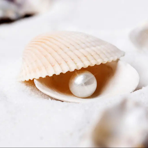 Fournir en gros 100% blanc pur perle poudre meilleure qualité échantillon gratuit à prix raisonnable - Product Image 1