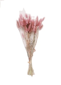 ขายส่งจากโรงงาน หญ้าแพมพัสธรรมชาติและดอกไม้แห้ง สำหรับตกแต่งในเทศกาลคริสต์มาสและฮาโลวีน - Product Image 3