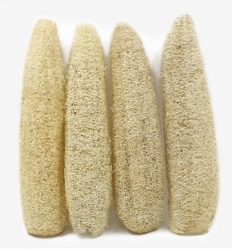 Extra large long whole loofah sponge natural uncut dry luffa for body wash and kitchen cleaning