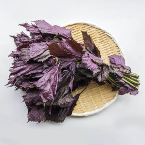 ใบงาแดงสำหรับห่อใบชิโซสีเขียวสด - Product Image 5