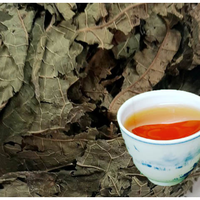 Feuilles de Matatabi (Argousier) séchées Mu Tian Liao, feuilles séchées d'Actinidia Polygama