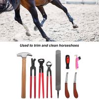 Sacs enroulables en cuir au design unique Kit de toilettage en fer à cheval Équipement d'entretien des sabots des chevaux équins Ensemble de 8 pièces Kit d'outils pour maréchal-ferrant