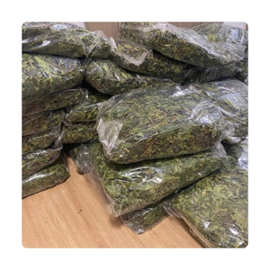 Meilleures ventes : Feuilles de papaye séchées pour base de thé antioxydant et extraits botaniques DIY – Matière végétale pure - Product Image 4