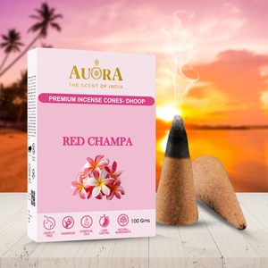 Conos de incienso indio natural Premium Low Moq 100 GMS Paquete de tubos Conos de dhoop de larga duración 50 + Aromas Precio de fábrica Etiqueta privada - Product Image 4