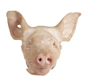 Top Quality Frozen Pork Head/Frozen Pig Head Cheap price