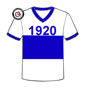 Zeta Phi Beta Soror haute qualité vêtements pour femmes en gros femmes chemises à manches courtes mode unisexe col en V femmes t-shirts - Product Image 6